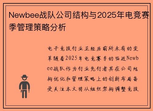 Newbee战队公司结构与2025年电竞赛季管理策略分析